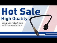 Αισθητήρας Οξυγόνου-31293740