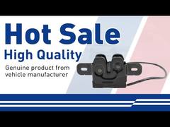Hood Lock Switch-31425843