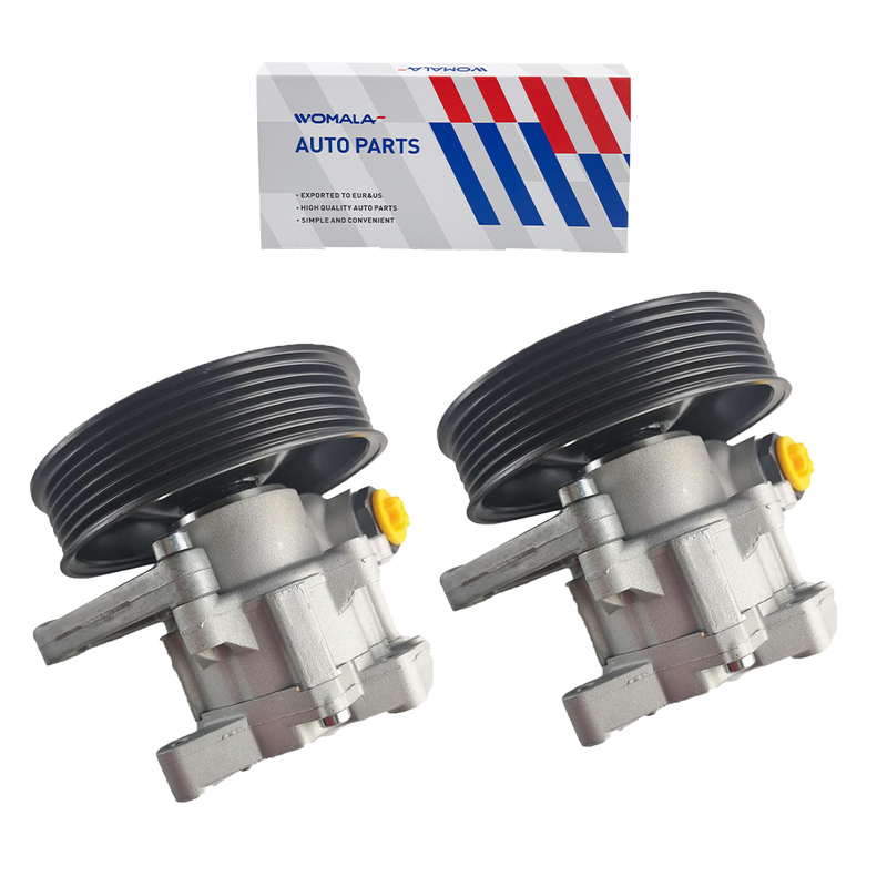 Αντλία Υδραυλικού Τιμονιού Womala OE 0044668501 Αναφορά OEM για Mercedes Benz ML350 Ανταλλακτικά Συστήματος Τιμονιού