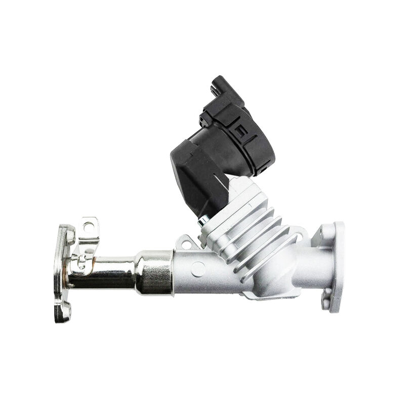 Womala Auto Parts EGR βαλβίδα 11717563241 11718479590 για BMW 1/3/5 σειράς