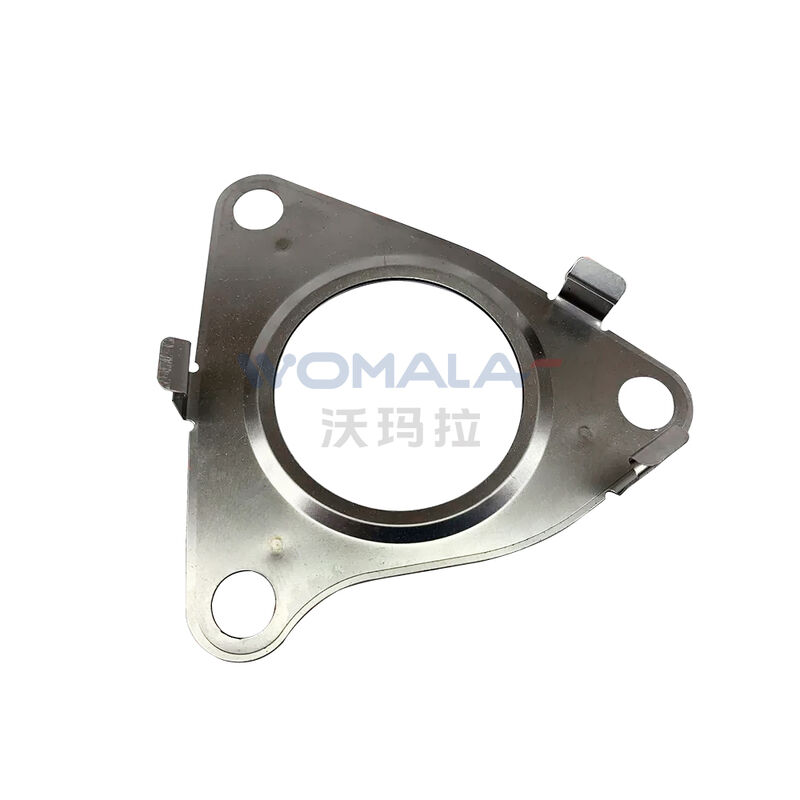 Δοκιμαστική συσκευή για τη συσκευή Womala Intake